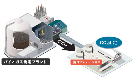 Absorbing CO₂ Generated During Power Generation